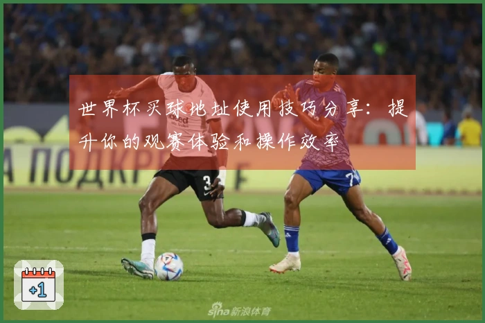 世界杯买球地址使用技巧分享：提升你的观赛体验和操作效率