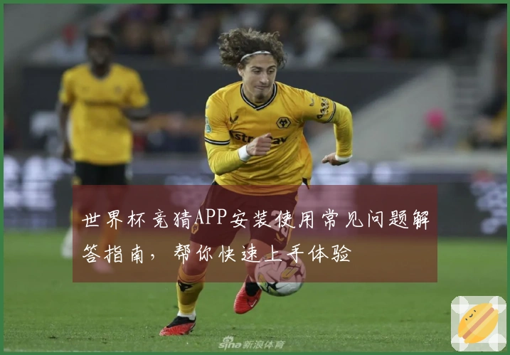 世界杯竞猜APP安装使用常见问题解答指南，帮你快速上手体验