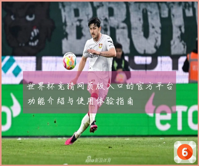 世界杯竞猜网页版入口的官方平台功能介绍与使用体验指南