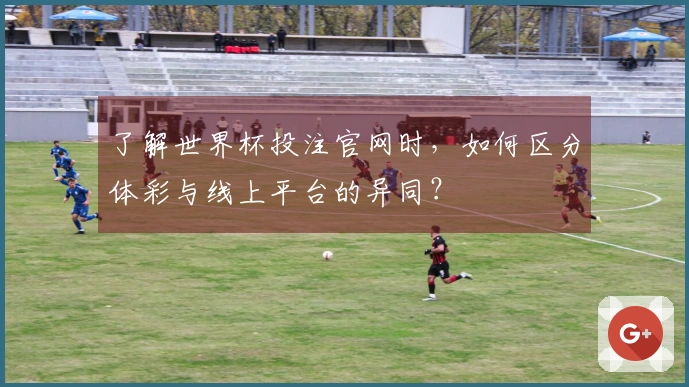 了解世界杯投注官网时，如何区分体彩与线上平台的异同？