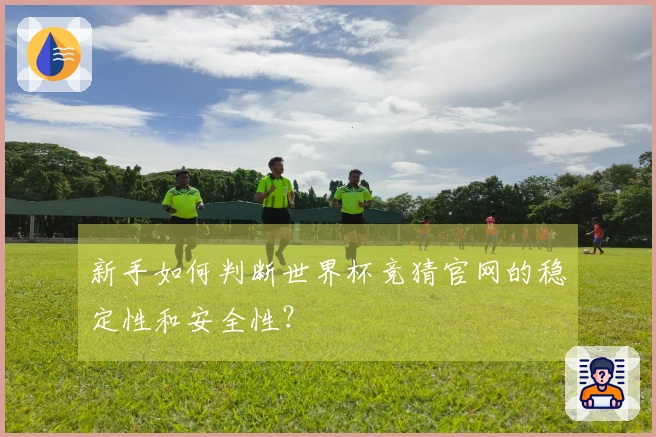 新手如何判断世界杯竞猜官网的稳定性和安全性？
