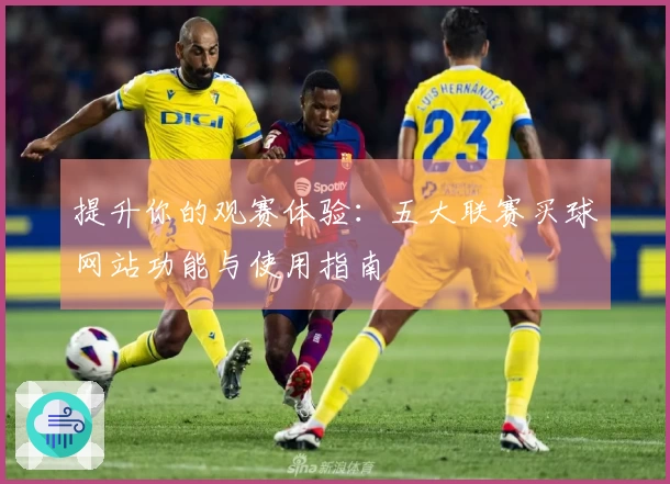 提升你的观赛体验：五大联赛买球网站功能与使用指南
