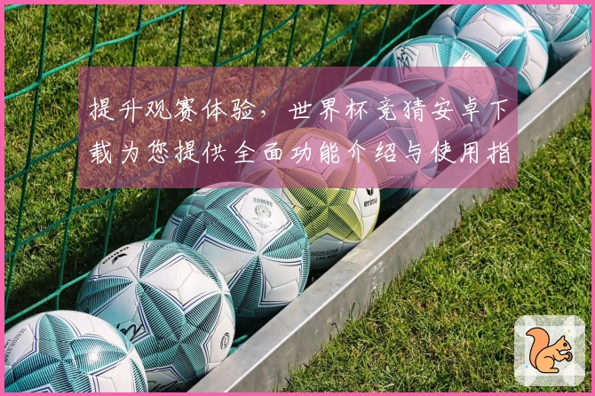 提升观赛体验，世界杯竞猜安卓下载为您提供全面功能介绍与使用指南