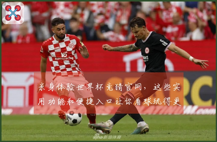 亲身体验世界杯竞猜官网，这些实用功能和便捷入口让你看球玩得更嗨