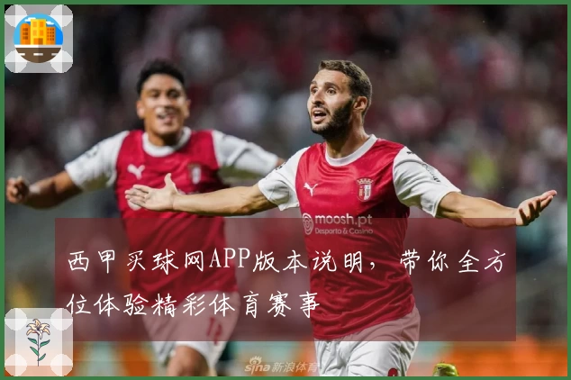 西甲买球网APP版本说明，带你全方位体验精彩体育赛事