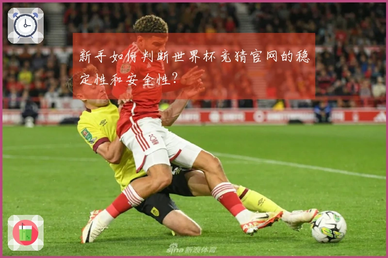 新手如何判断世界杯竞猜官网的稳定性和安全性？