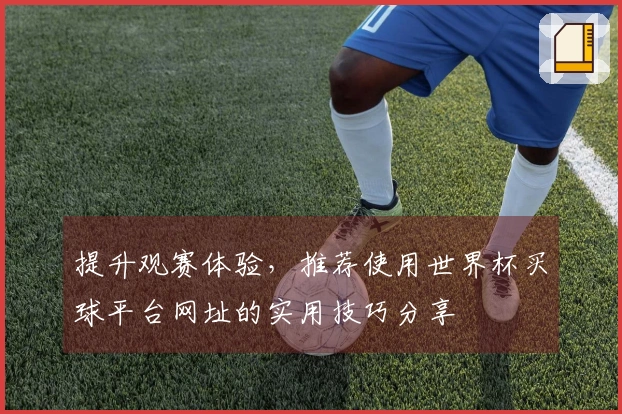 提升观赛体验，推荐使用世界杯买球平台网址的实用技巧分享