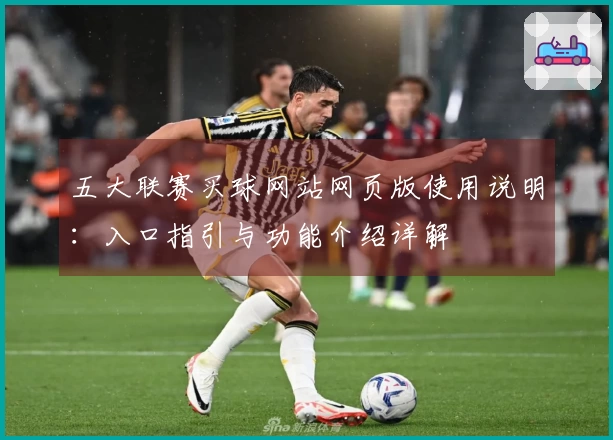 五大联赛买球网站网页版使用说明：入口指引与功能介绍详解