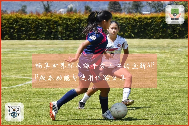 畅享世界杯买球平台入口的全新APP版本功能与使用体验分享