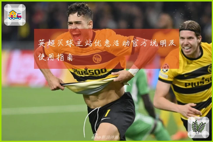 英超买球主站优惠活动官方说明及使用指南